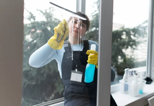 Nettoyage de vitres intérieures et extérieures à Villegusien-le-Lac